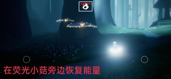 光遇11月8日每日任务怎么做