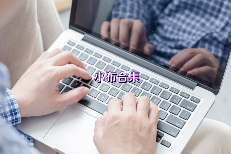 小布合集