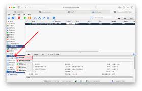 QBittorrent中文版如何一键下载BT种子？轻松获取资源的方法