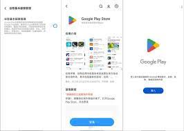 谷歌服务使用教程
