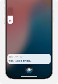 siri音量怎么调