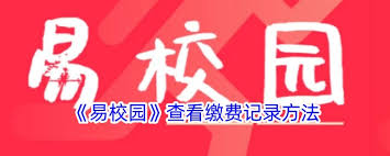 易校园如何查看缴费记录