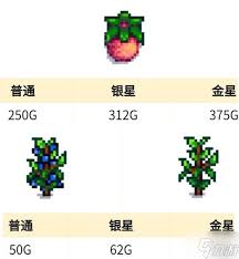 星露谷物语中哪些作物收益最高