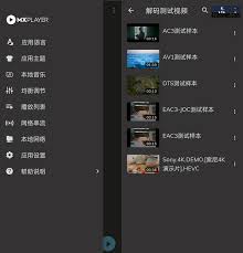 mx播放器怎么选字幕