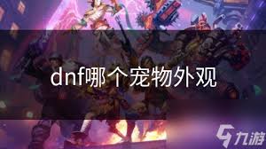 DNF兔子先生宠物外观是什么样