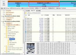 DiskGenius如何解锁分区