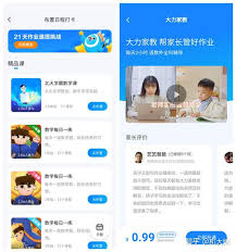 大力辅导怎么设置视频讲解方法