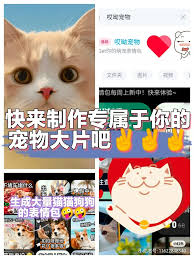 百度网盘萌宠表情包怎么使用