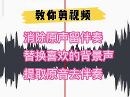 花瓣剪辑怎么去掉声音