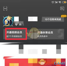 pp视频会员如何开通