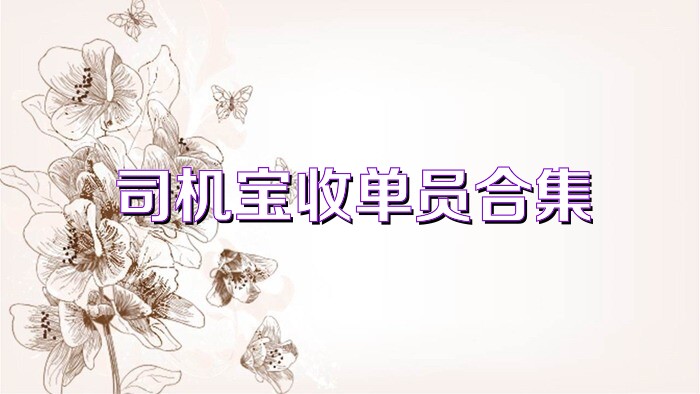 司机宝收单员合集