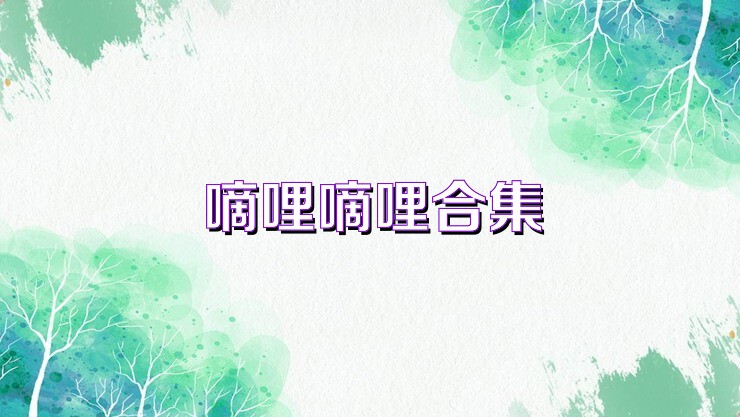 嘀哩嘀哩合集