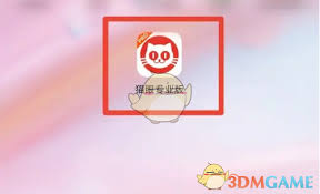 猫眼专业版如何查看收视率