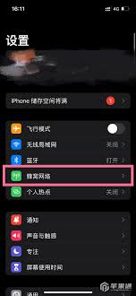 苹果13如何设置网络5g和4g