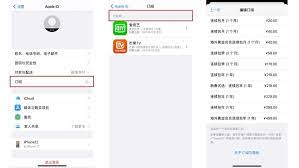 苹果手机如何取消连续包月续费