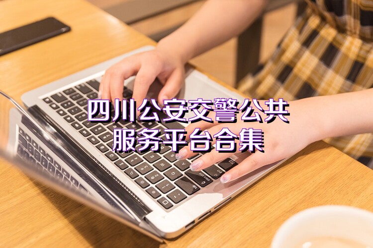 四川公安交警公共服务平台合集