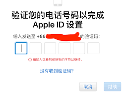 苹果手机id注册为何失败