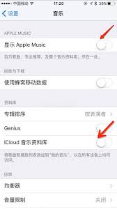 苹果手机本地音乐在哪里