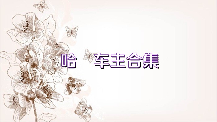 哈啰车主合集