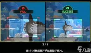 潜水员戴夫如何拍照