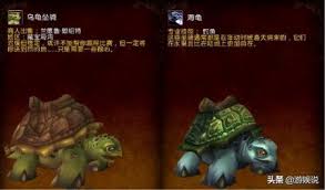 wlk乌龟坐骑在哪钓几率高