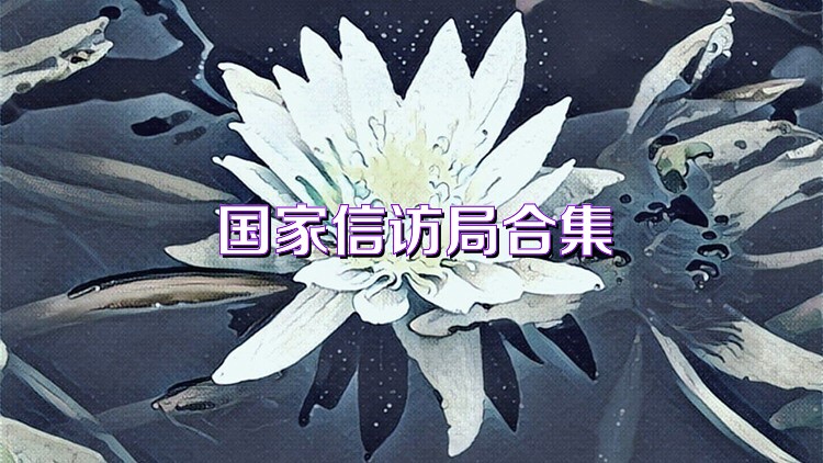 国家信访局合集