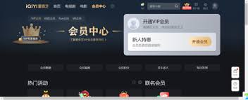如何实现爱奇艺多人共用