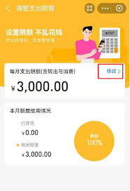 支付宝小荷包如何调整每月支出限额？教你轻松设置