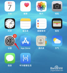 苹果11如何设置视频来电铃声