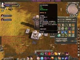 龙OL美丽的芭迷任务怎么做