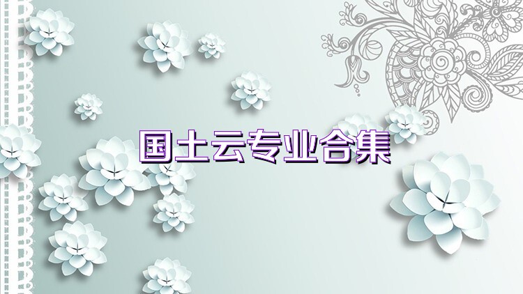国土云专业合集