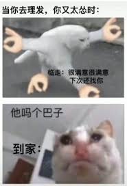 那很有生活了梗是什么意思
