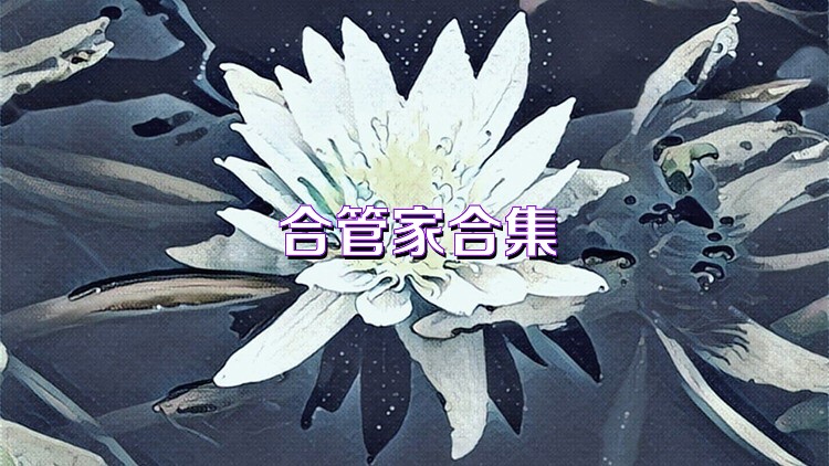 合管家合集