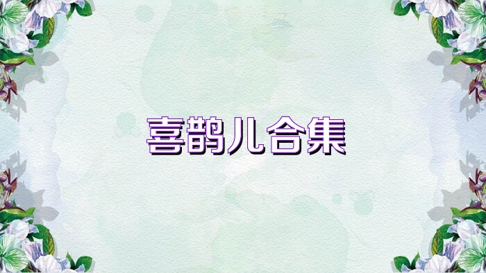 喜鹊儿合集