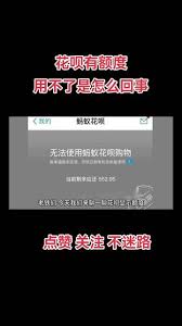 ios付款突然无法使用花呗是咋回事