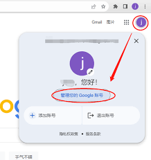 Google浏览器设置中文