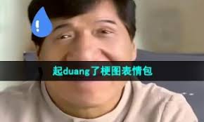 起duang了是什么梗
