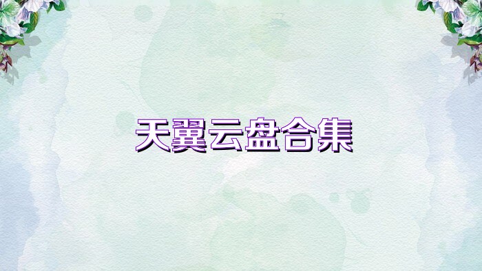 天翼云盘合集