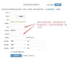 学信网怎样用身份证登录