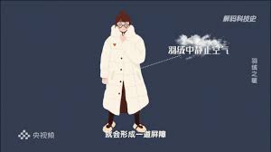 羽绒服里面穿短袖为何更暖和