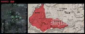 荒野大镖客：救赎生存大师挑战怎么玩