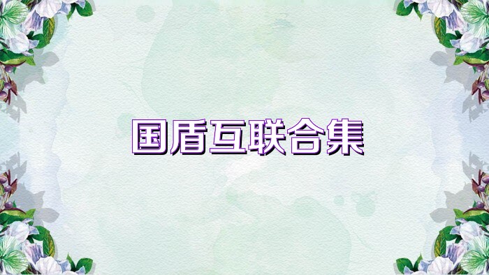 国盾互联合集