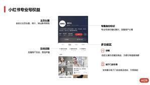 小红书专业号怎么关闭