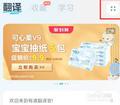 有道翻译官如何开启悬浮窗设置