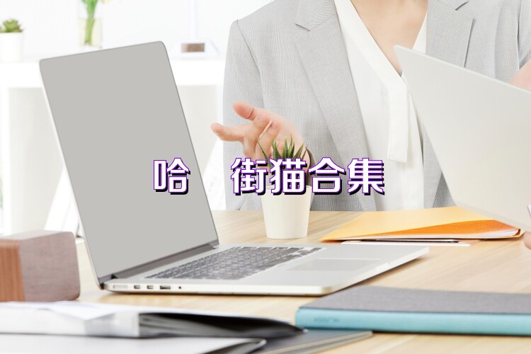 哈啰街猫合集