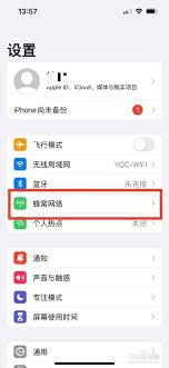 苹果手机如何切换4g和5g