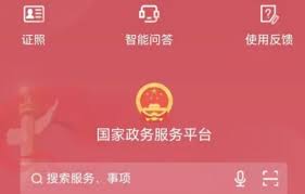 国家政务服务平台怎么操作