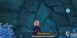 原神恒久之约有哪些可疑之处
