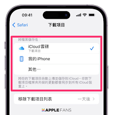 ios下载的文件存放在哪里