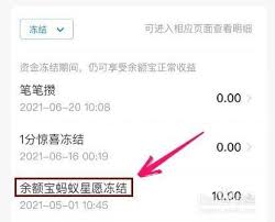 支付宝冻结资金如何解除冻结